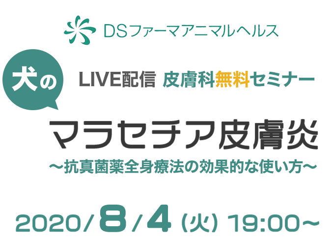 Live配信皮膚科無料セミナー 犬のマラセチア皮膚炎